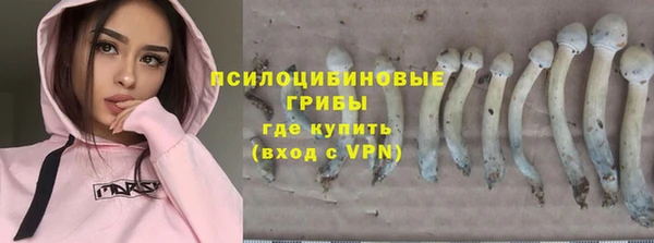 дурь Пестово