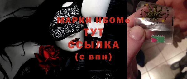 трава Гатчина