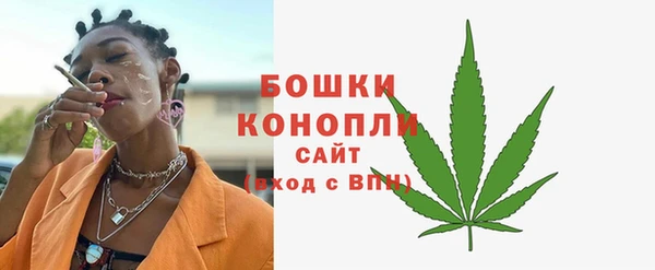 дурь Пестово