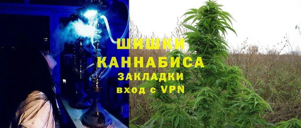 дурь Пестово