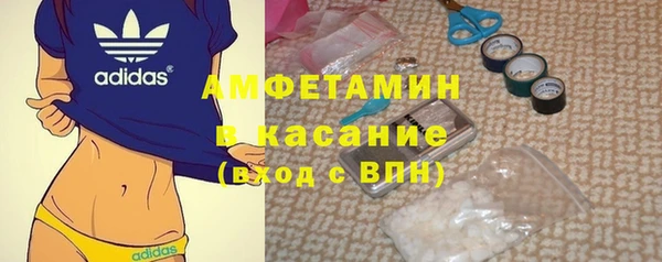 трава Гатчина
